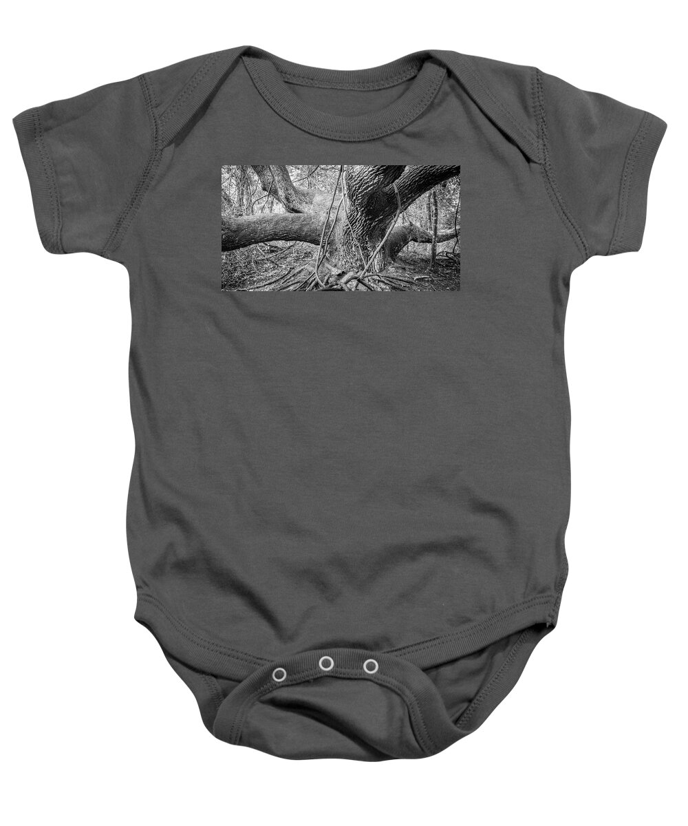 Live Oak Baby Onesie featuring the photograph Twisted Live Oak at Atlantic Beach North Carolina by Bob Decker
