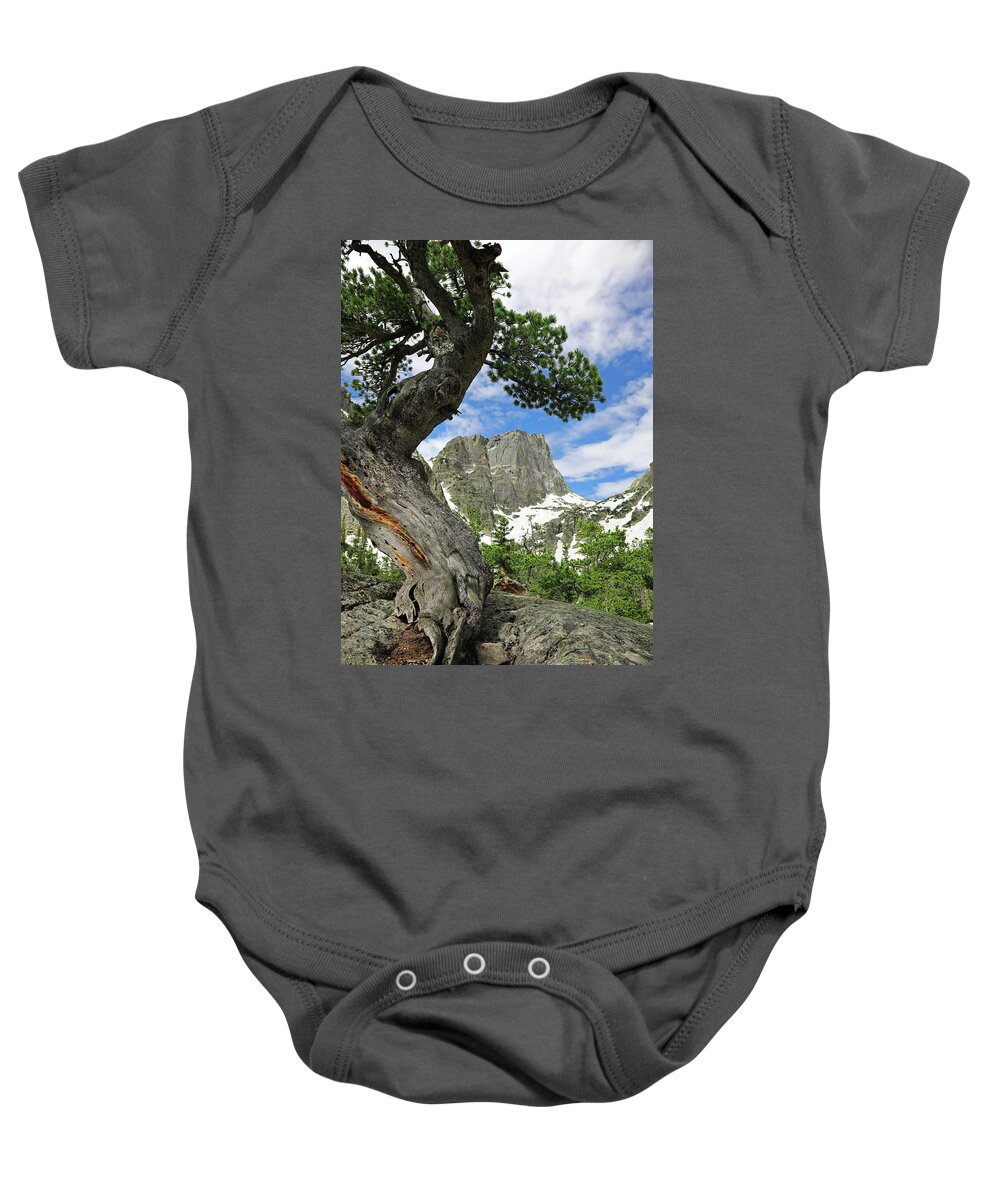 Twisted Tree Hallett Peak Baby Onesie featuring the photograph Twisted Tree Hallett Peak by Dan Sproul