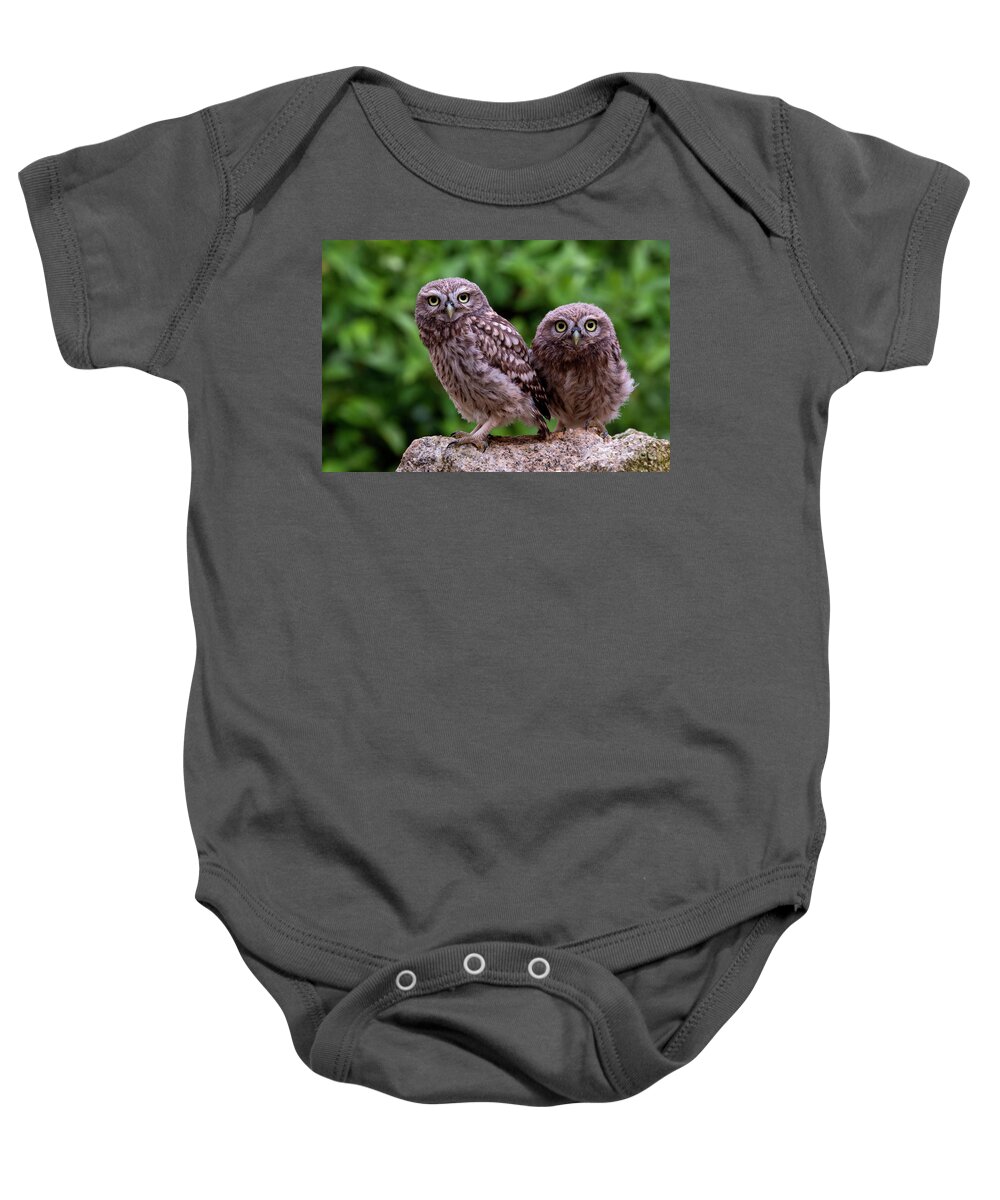 00527885 Baby Onesie featuring the photograph Two Little Owls by Marion Vollborn