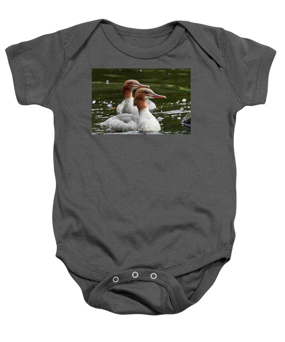 Finland Baby Onesie featuring the photograph Two of a kind. Common merganser by Jouko Lehto