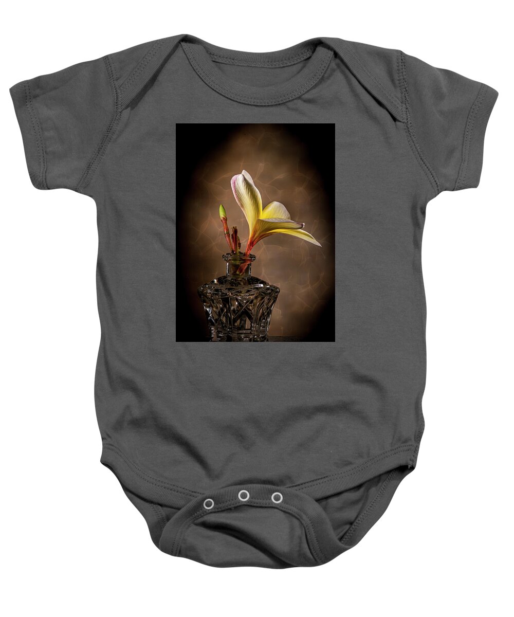 ©2010 Lou Novick Baby Onesie featuring the photograph Untitled by Lou Novick