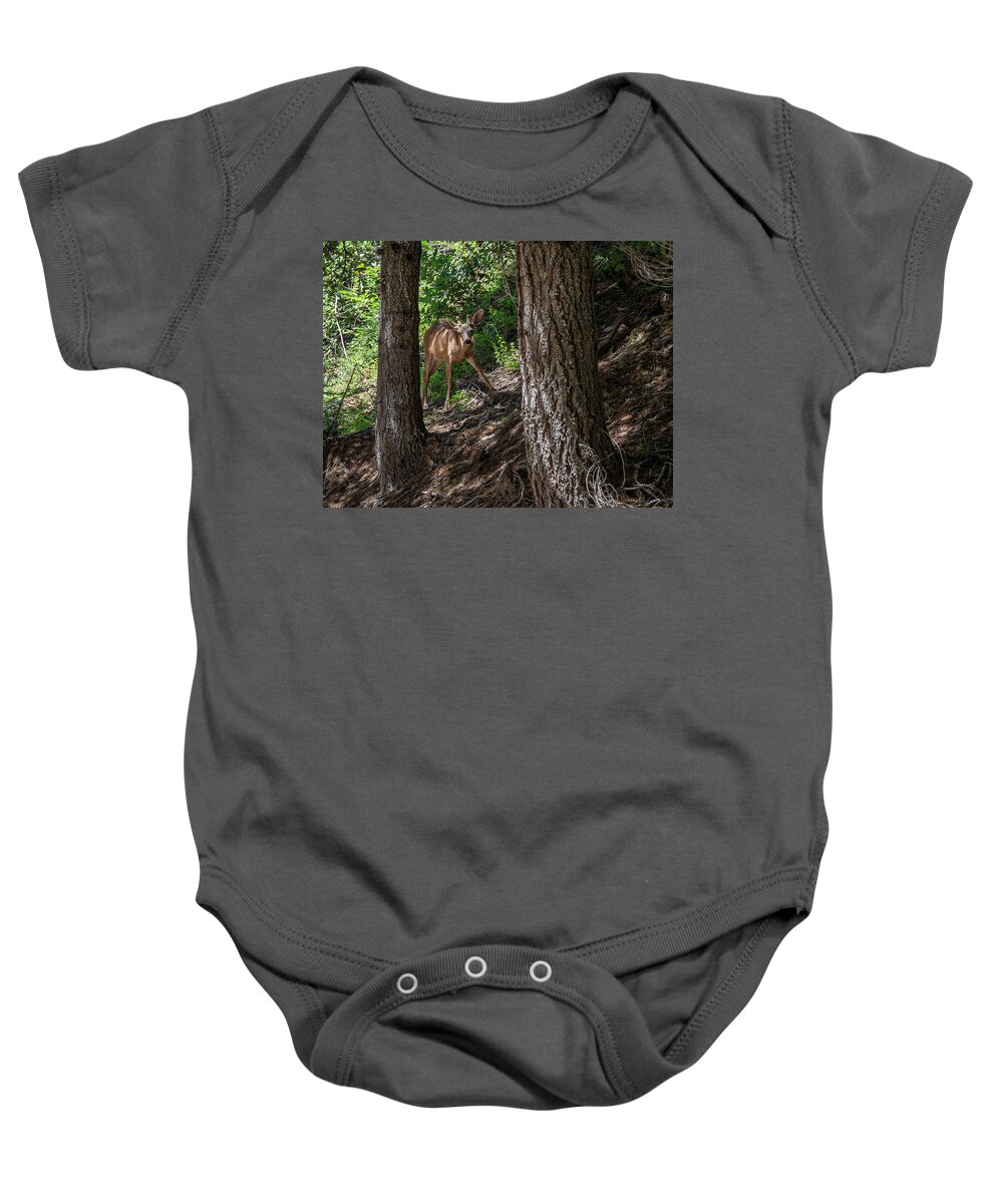 Wildlife Baby Onesie featuring the photograph Up or Down by Betty Depee
