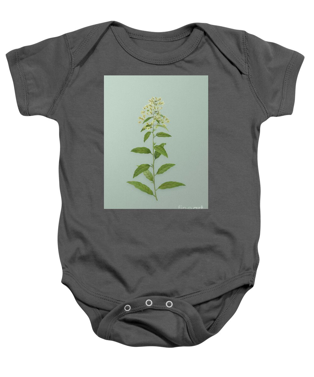 Vintage Baby Onesie featuring the mixed media Vintage Green Cestrum Botanical Art on Mint Green n.0958 by Holy Rock Design