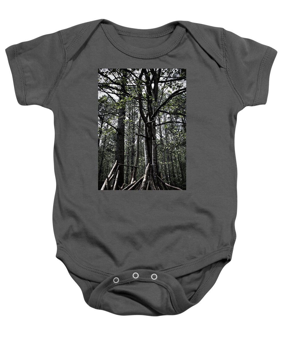 Trees Baby Onesie featuring the photograph Virginia Forrest by Rene Vasquez