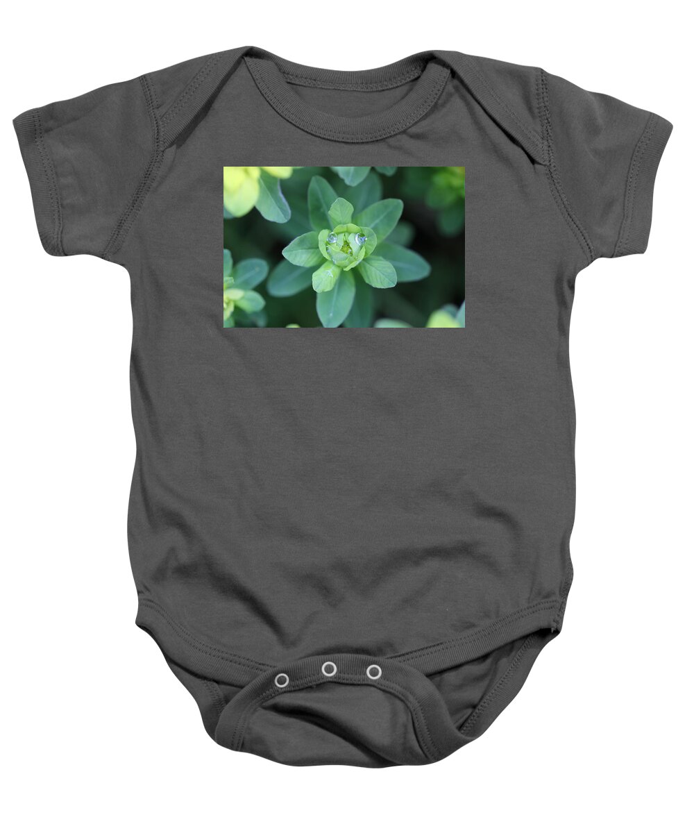 Water Drops Baby Onesie featuring the photograph Spurge Water Droplet Face by Tammy Pool