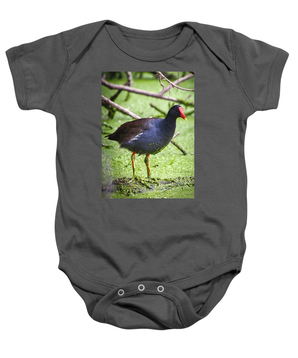 Bird Baby Onesie featuring the photograph Water Foul by Rene Vasquez
