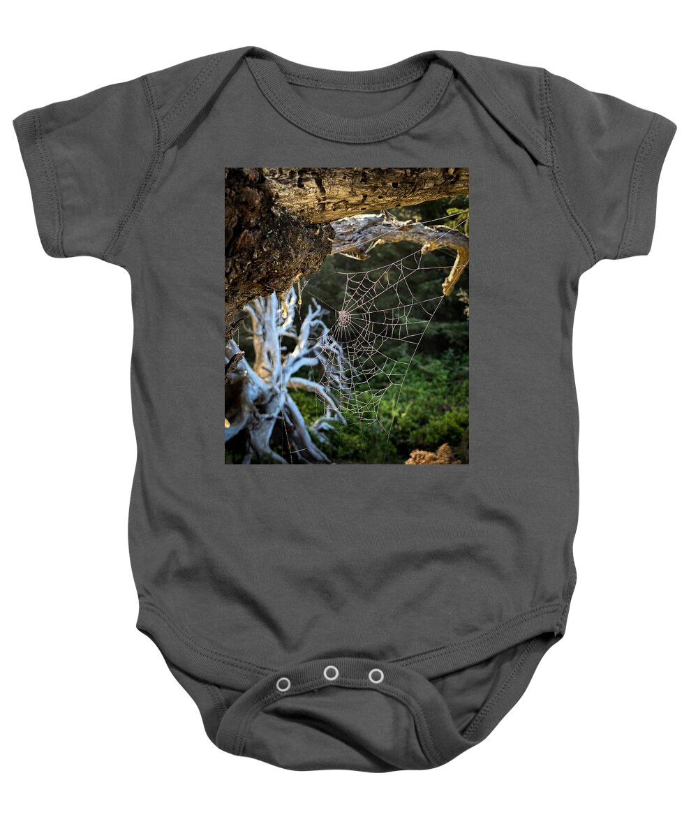 Spider Web Baby Onesie featuring the photograph Web of Intrigue by Andrea Platt
