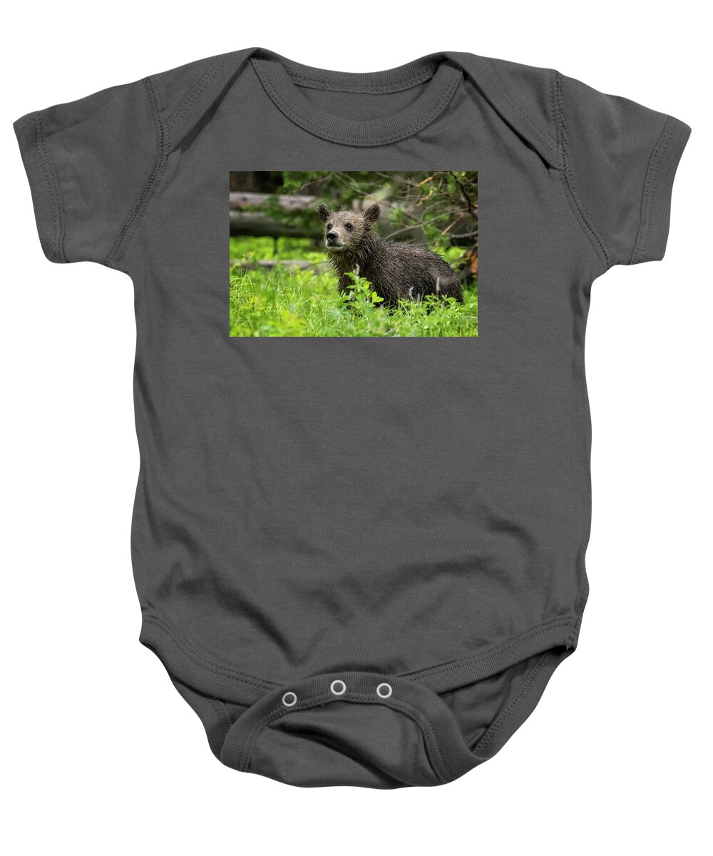 Grizzly Bear Cub Baby Onesie featuring the photograph Wet Grizzly Cub by Belinda Greb