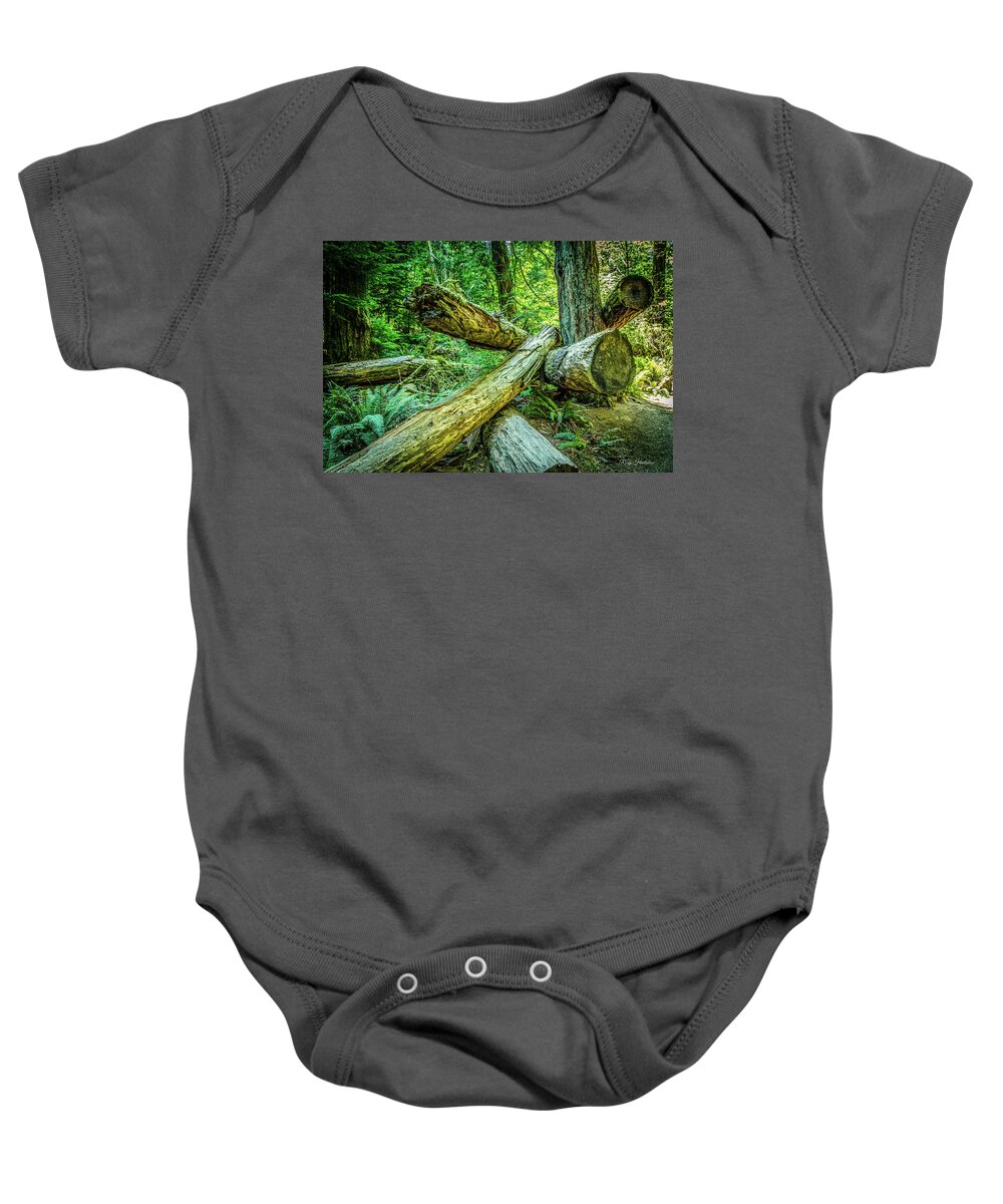 Old Growth Forest Baby Onesie featuring the photograph When the Wind Blows Cathedral Grove by Roxy Hurtubise