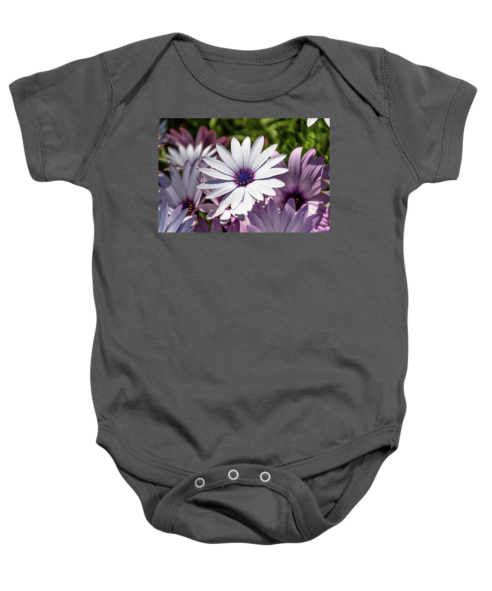 Dimorphotheca Baby Onesie featuring the photograph White African Daisy - Dimorphotheca Ecklonis by Luis GA - Lugamor