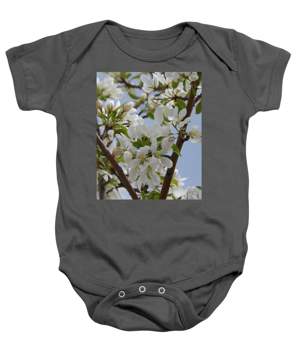  Flowers Baby Onesie featuring the photograph White Blossoms by Amanda R Wright