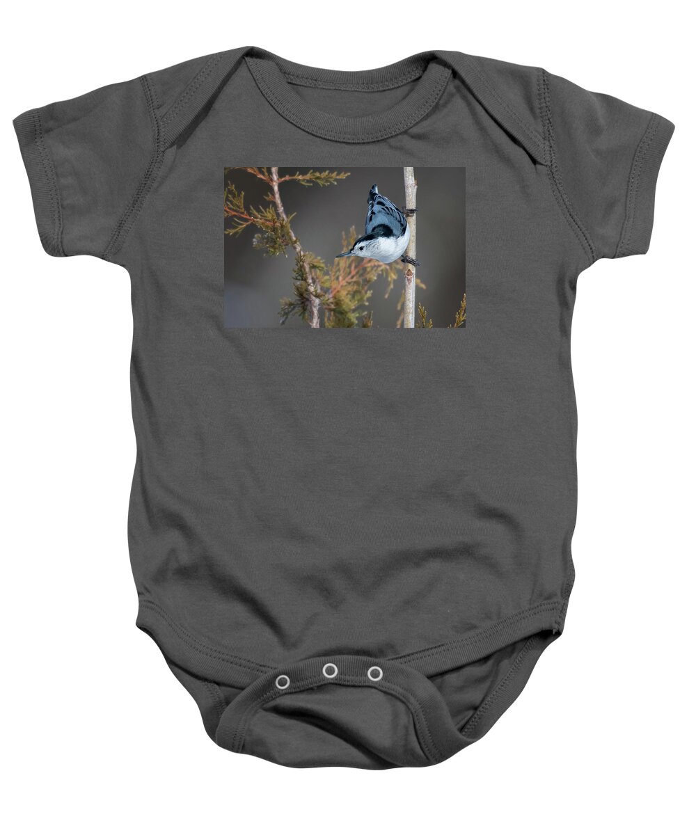 Back Yard Birds Baby Onesie featuring the photograph White Breasted Nuthatch by Linda Shannon Morgan