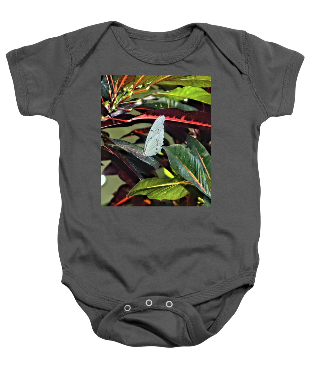 Butterfly Baby Onesie featuring the photograph White Cabbage Butterfly by Cathy Anderson