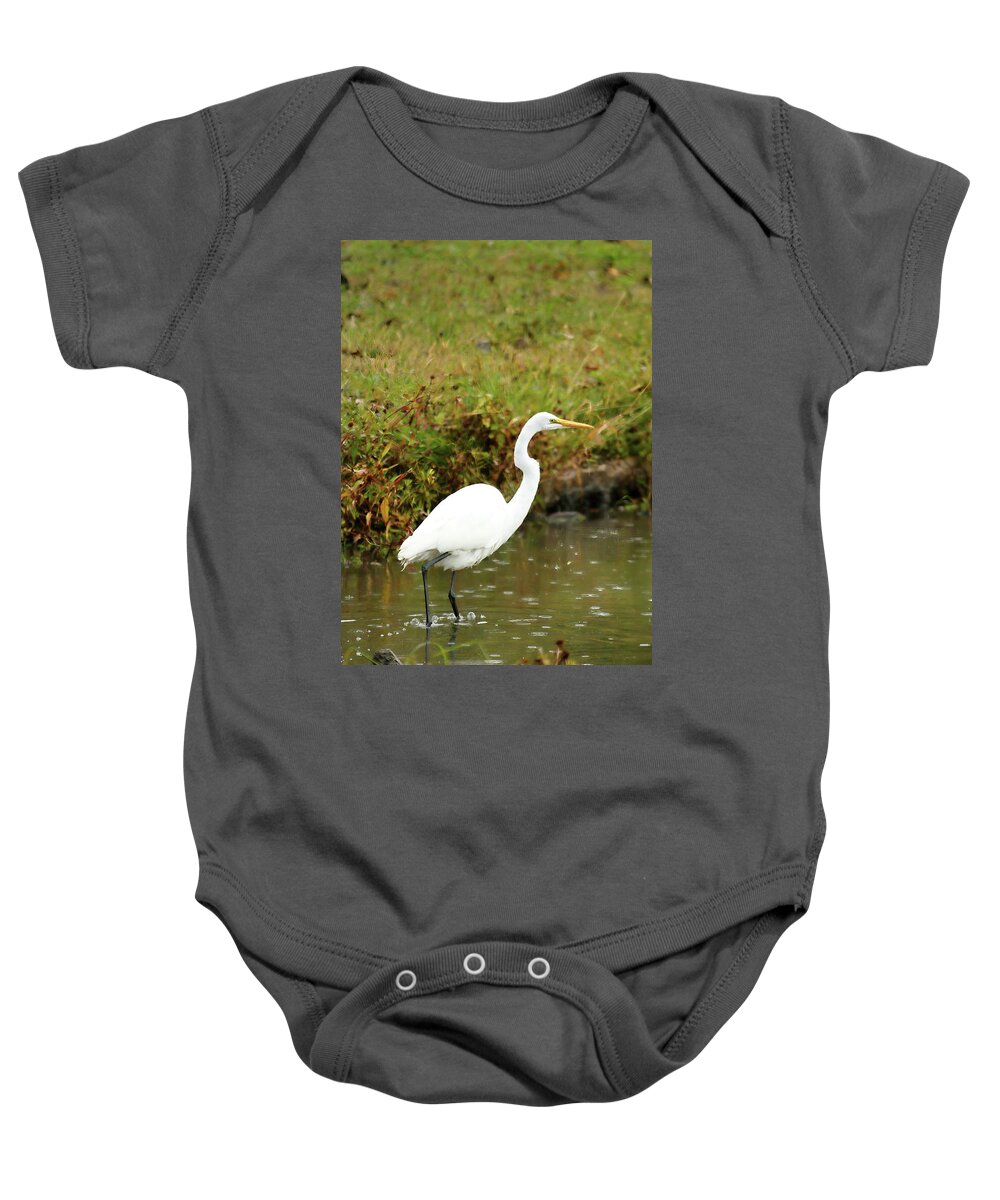 Animal Baby Onesie featuring the photograph White Egret by Lens Art Photography By Larry Trager