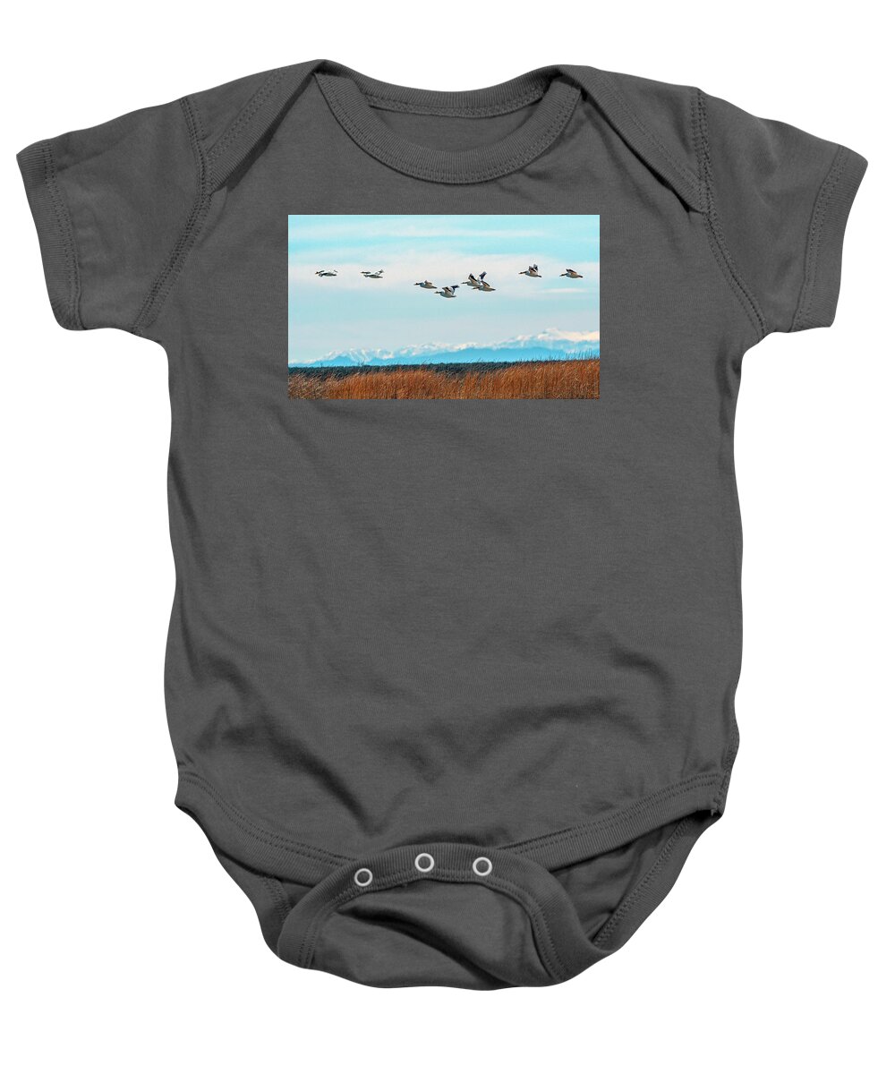 Pelican Baby Onesie featuring the photograph White Pelicans in flight by Rick Mosher