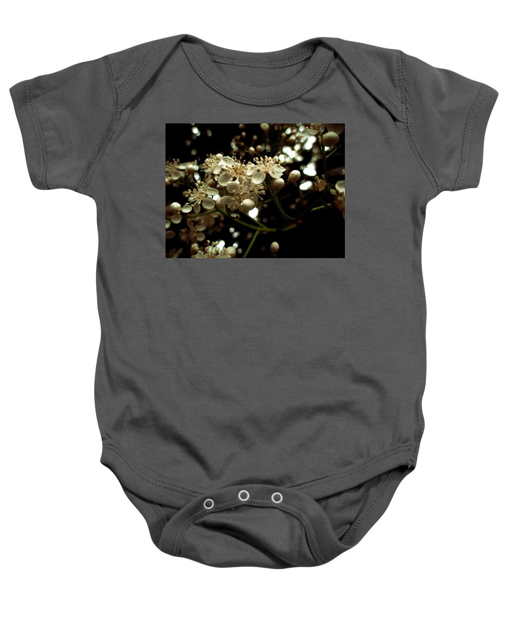 Photinia Baby Onesie featuring the photograph White Photinia Flowers by W Craig Photography