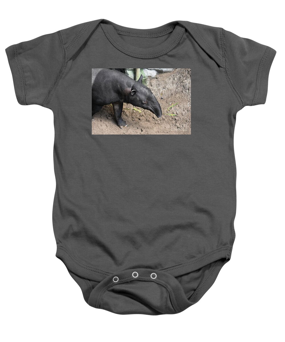 Tapir Baby Onesie featuring the photograph Wild animal photo of a bairds tapir by DejaVu Designs