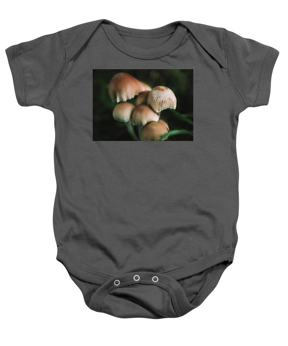 Plants Baby Onesie featuring the photograph Wild Mushrooms Macro Photography by Amelia Pearn