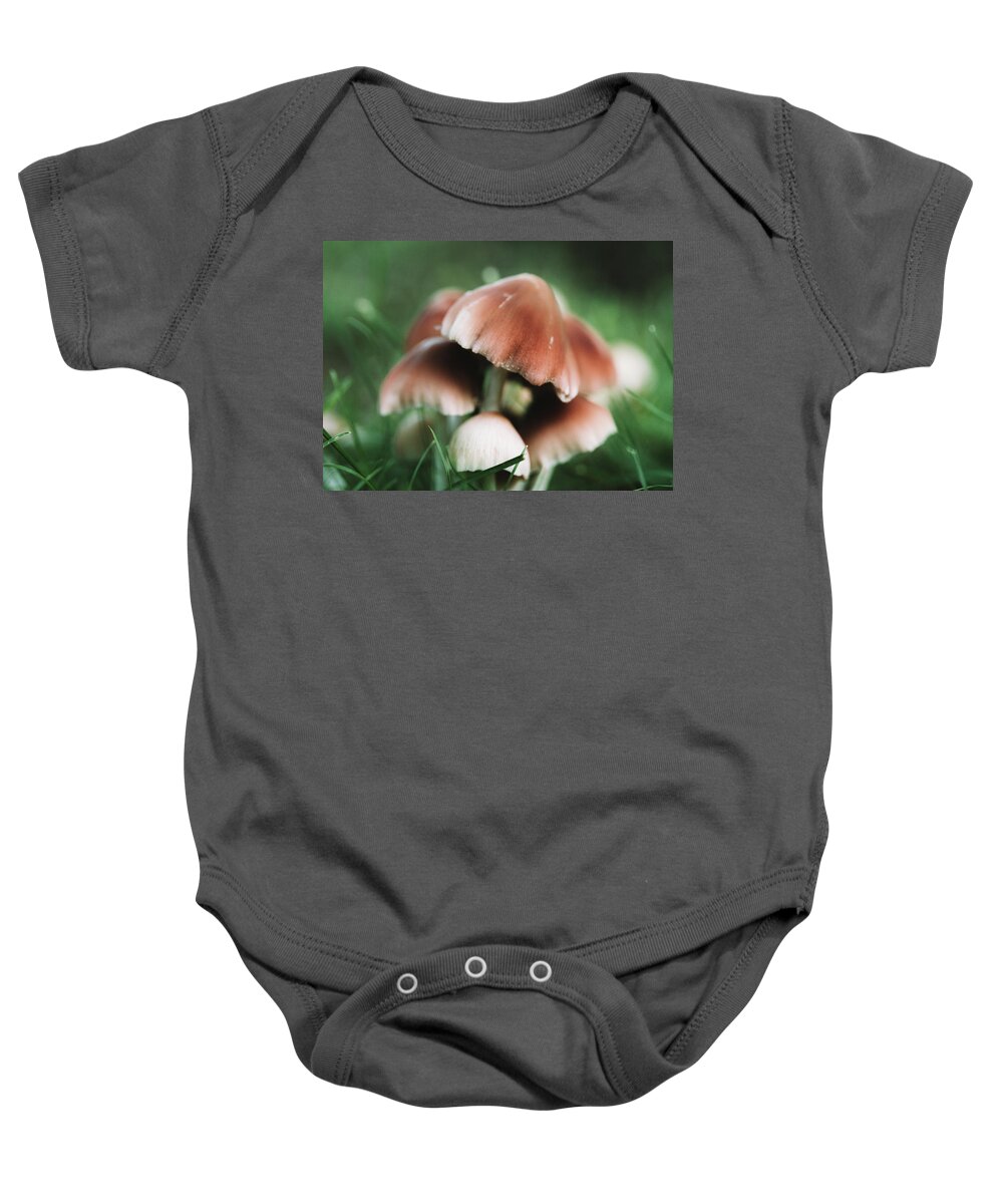 Plants Baby Onesie featuring the photograph Wild Mushrooms - Nature Photography by Amelia Pearn