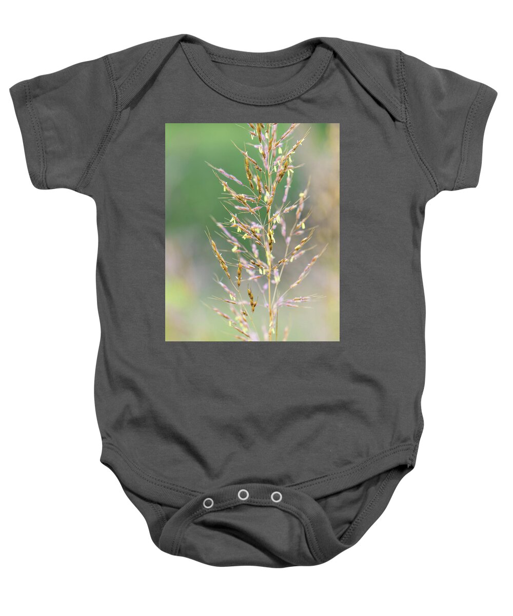 Nature Baby Onesie featuring the photograph Wild Wheat by Amelia Pearn