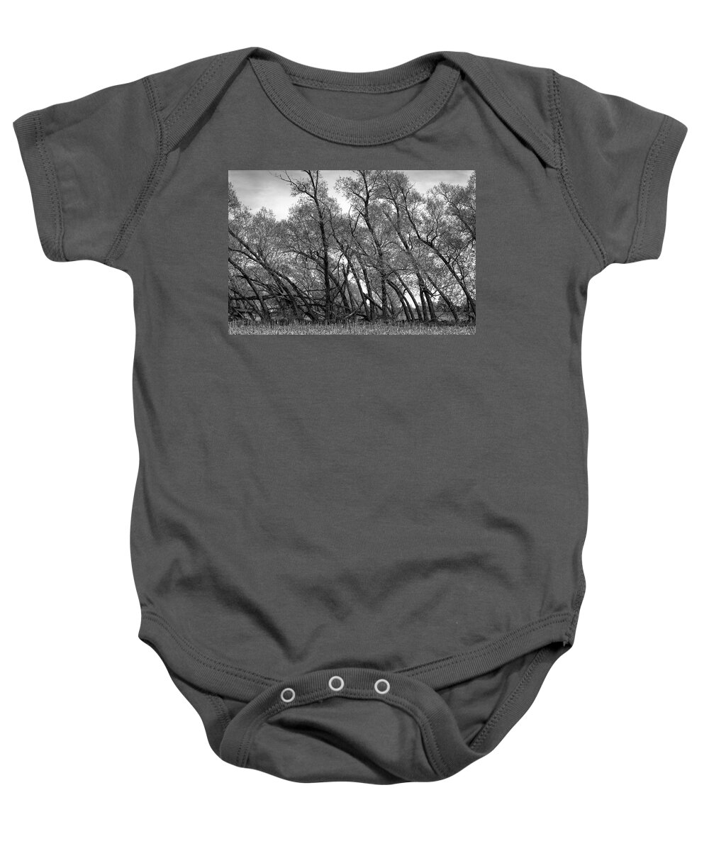  Baby Onesie featuring the photograph Wind Row - St Johns, Michigan USA by Edward Shotwell