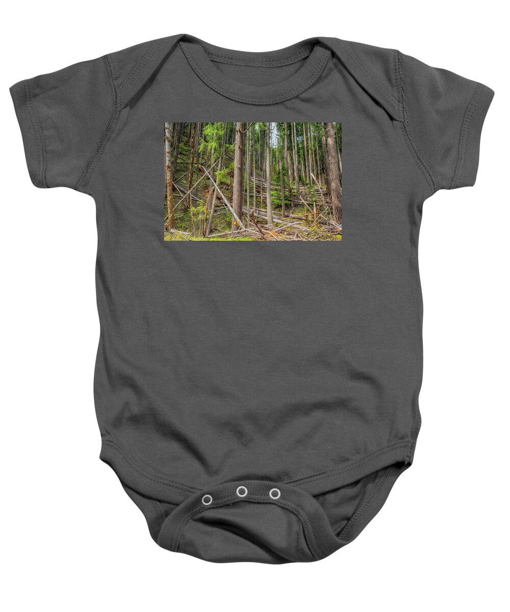 Woods Baby Onesie featuring the photograph Windstrewn by Belinda Greb