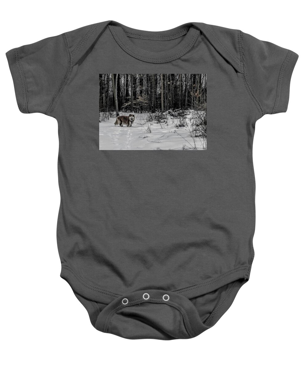  Baby Onesie featuring the photograph Winter Hike by Brad Nellis