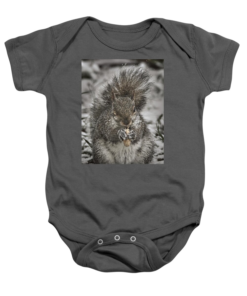 Animal Baby Onesie featuring the photograph Winter Squirrel The Wink by Bob Orsillo