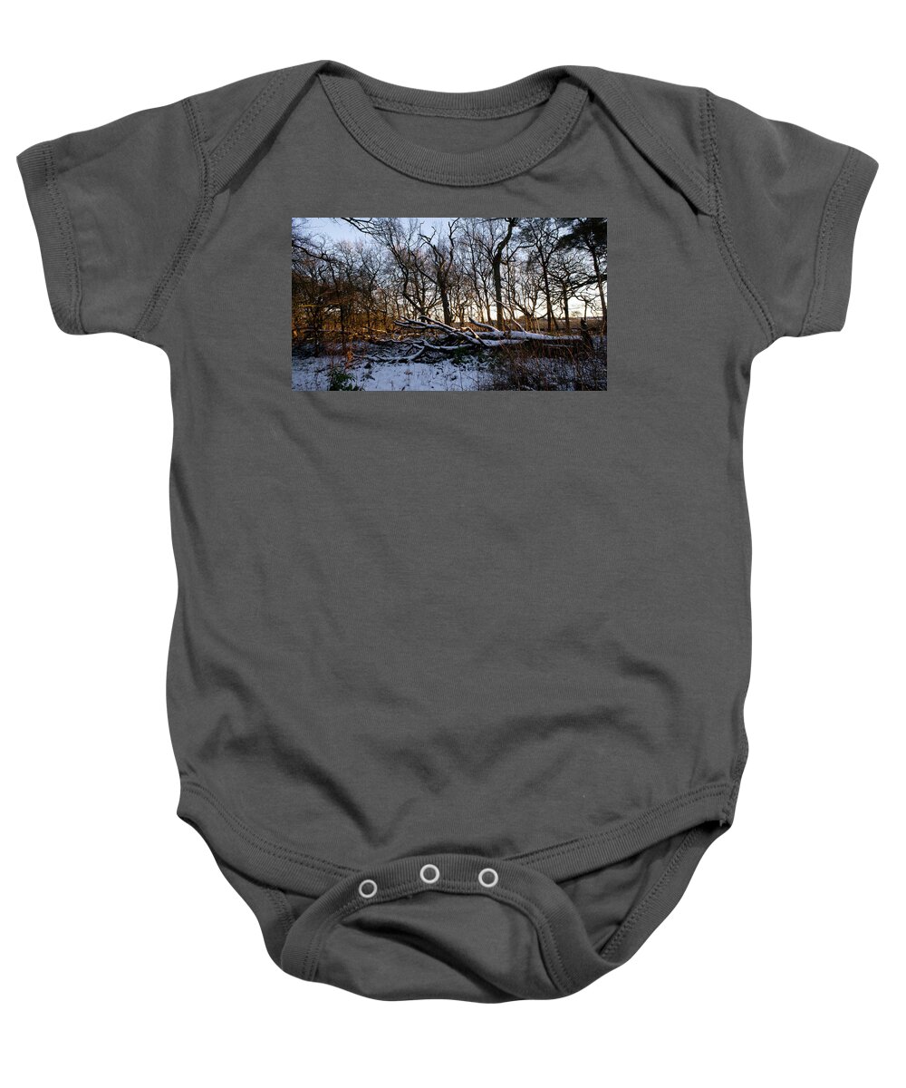 Winter Baby Onesie featuring the photograph Winter the Beautiful by Elena Perelman