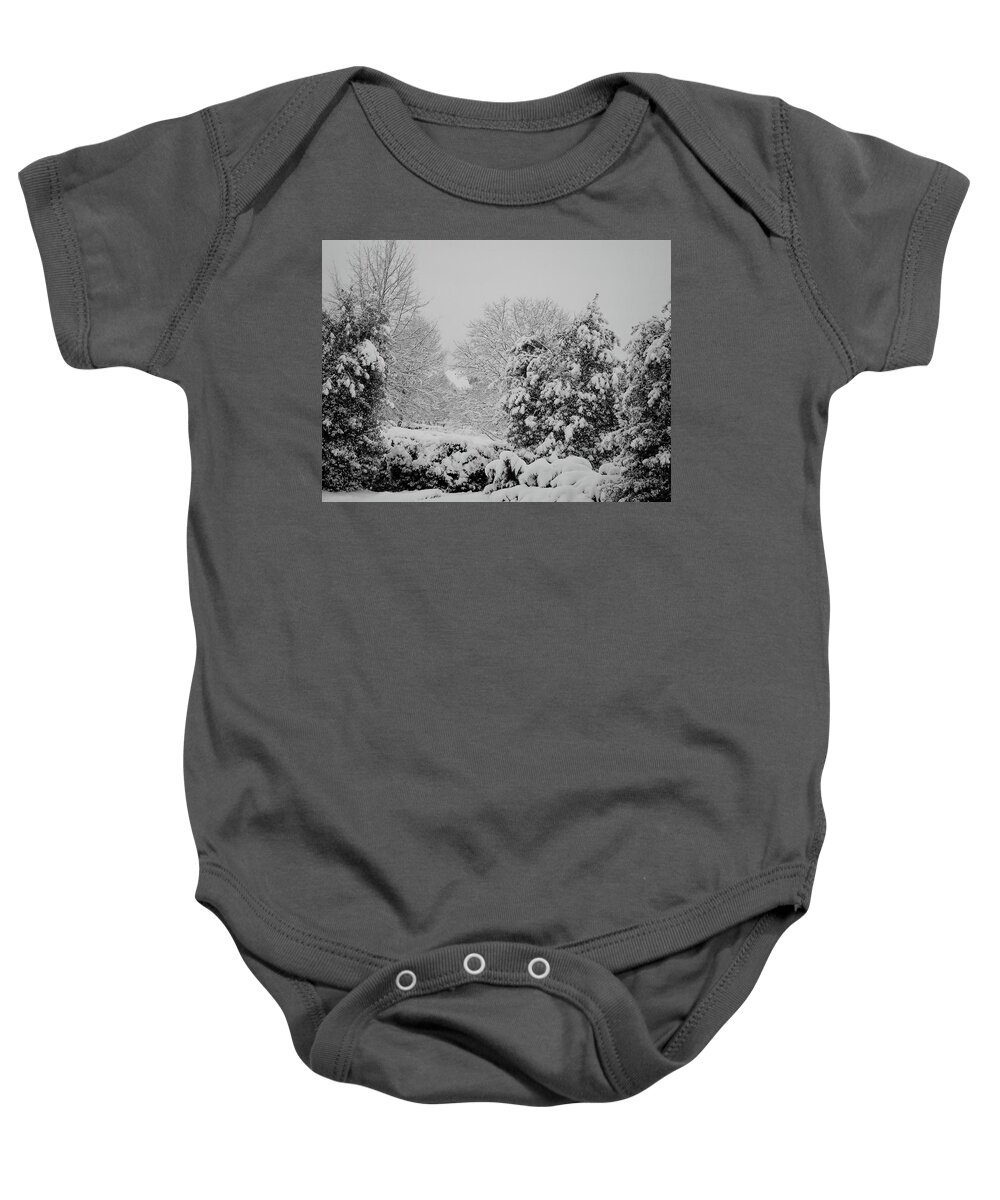 Landscape Baby Onesie featuring the photograph Winter Wonderland by Carol Whaley Addassi