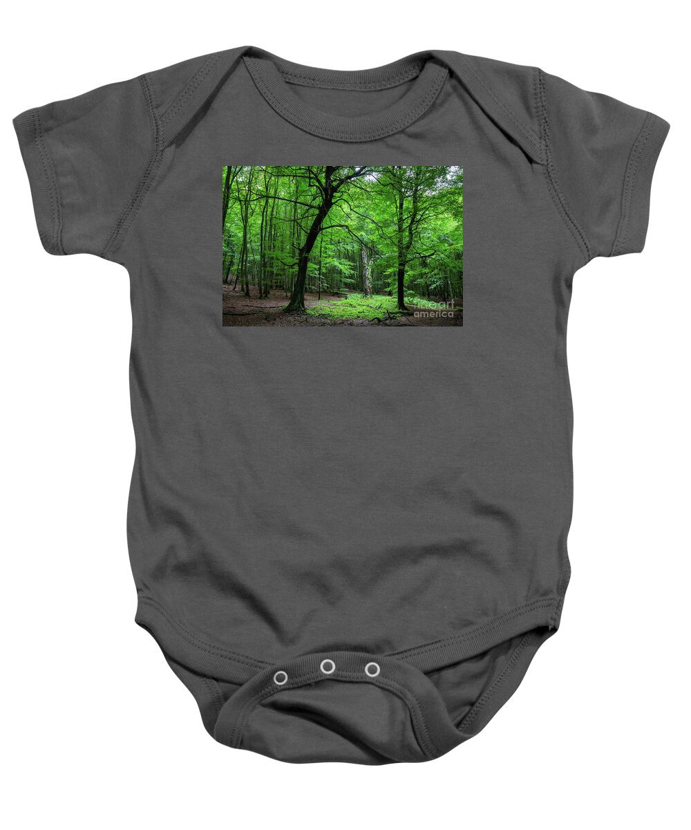 Beech Forest Baby Onesie featuring the photograph Woodland by Eva Lechner