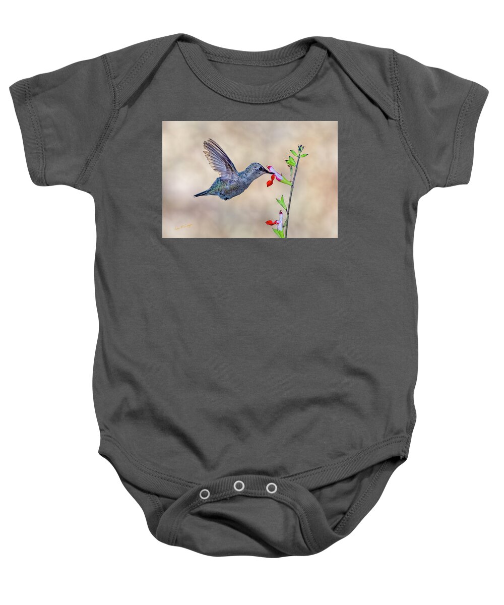 Hummingbird Baby Onesie featuring the photograph Working It by Dan McGeorge