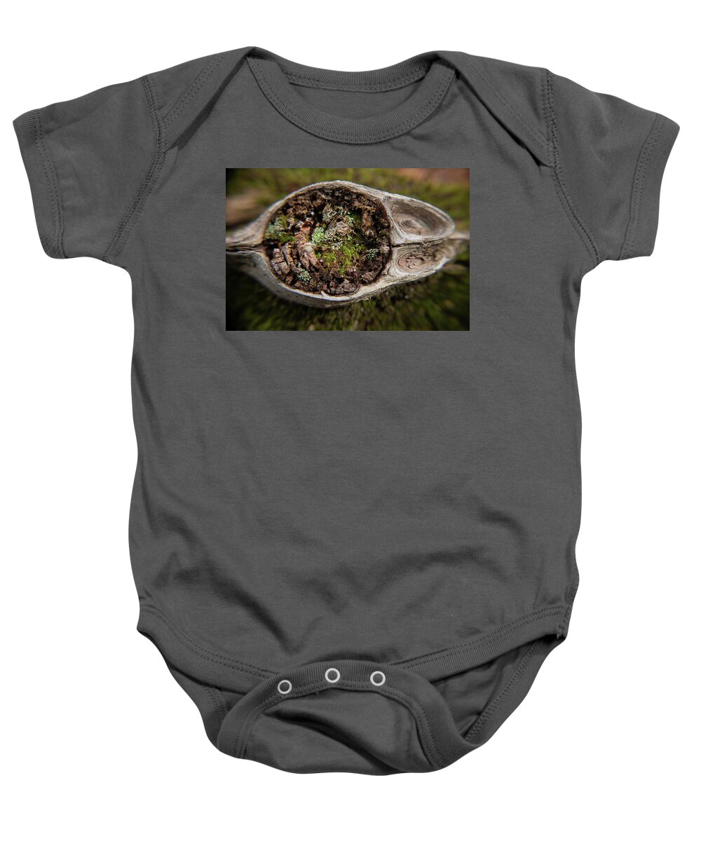 Macro Baby Onesie featuring the photograph Worlds Within Worlds by Vicky Edgerly