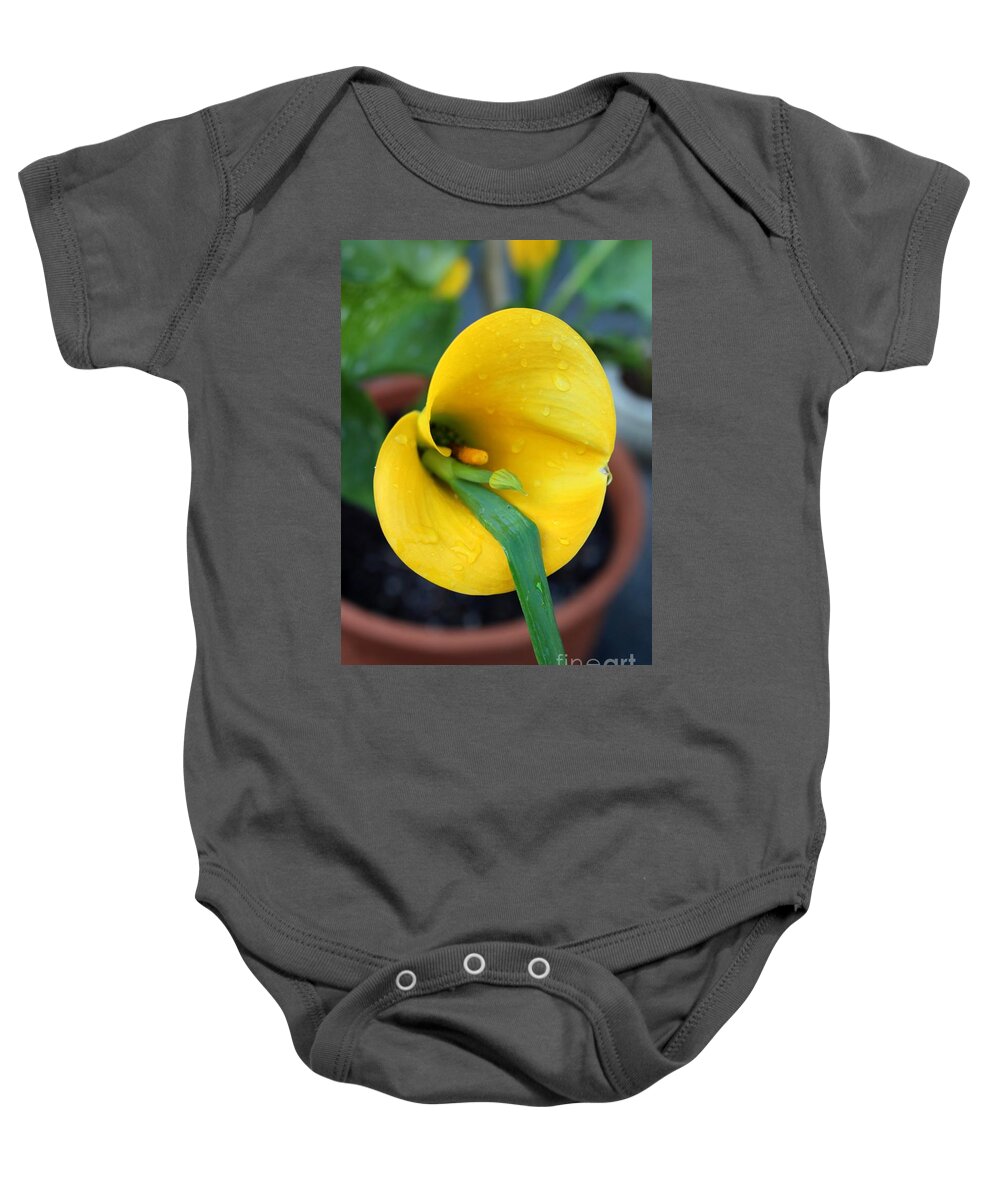Yellow Baby Onesie featuring the photograph Yellow Gone Wild by Marie Neder
