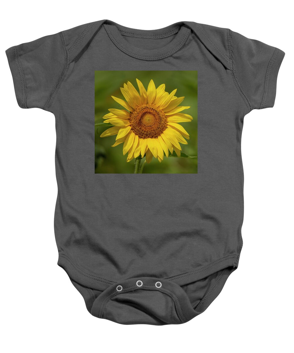 Yellow Baby Onesie featuring the photograph Yellow Sunflower Photograph by JBK Photo Art
