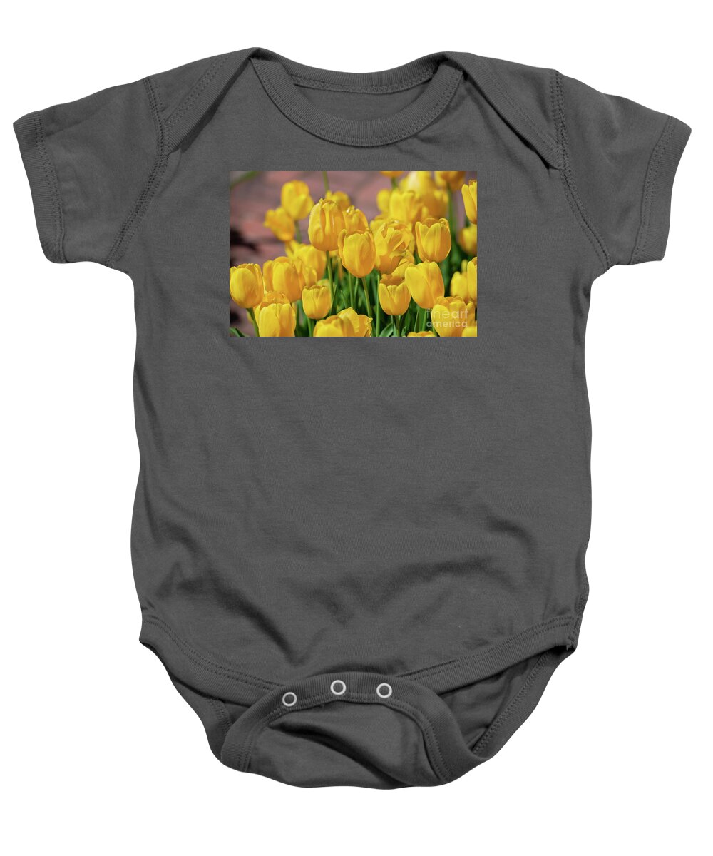 Tulips Baby Onesie featuring the photograph Yellow Tulips, No. 1 by Glenn Franco Simmons