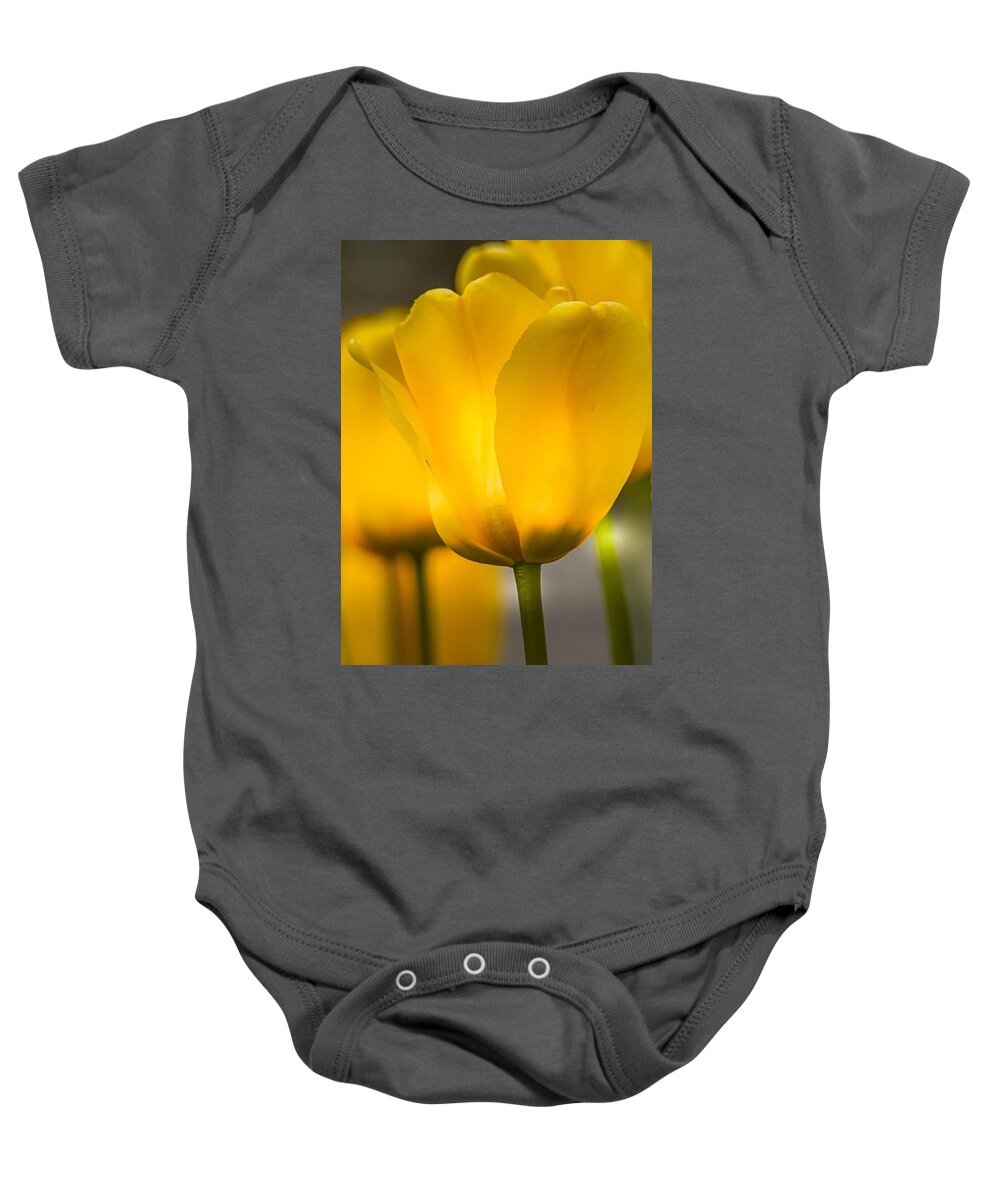 Tulips Baby Onesie featuring the photograph Yellow Tulips by Susan Rydberg