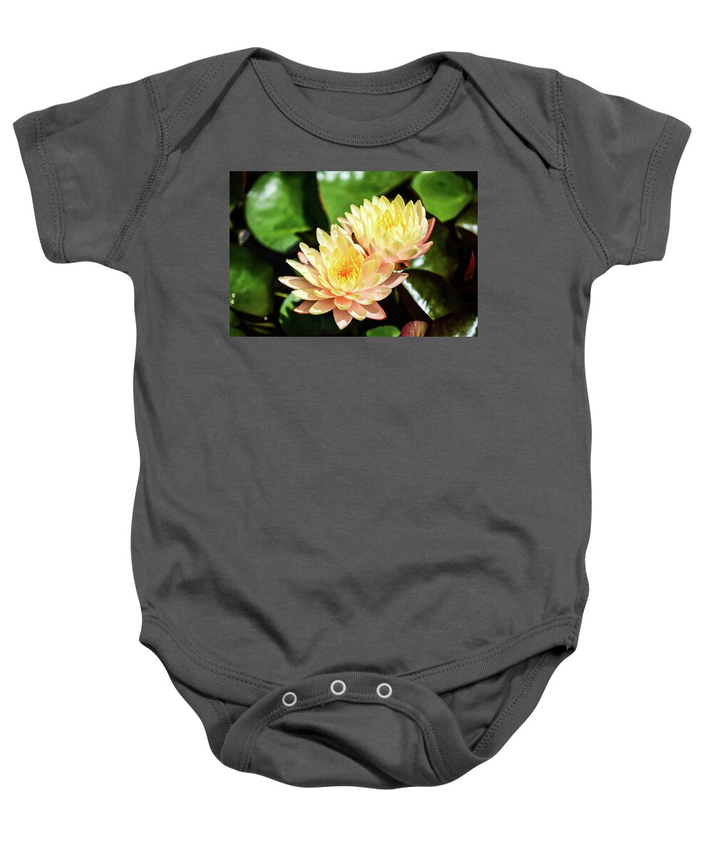 Yellow Water Lilies Sprout From The Pond And Green Vegetation Around Them Plants Water Flowers Pedals Sun Sunshine Light Baby Onesie featuring the photograph Yellow Water Lilies by Ed Stokes
