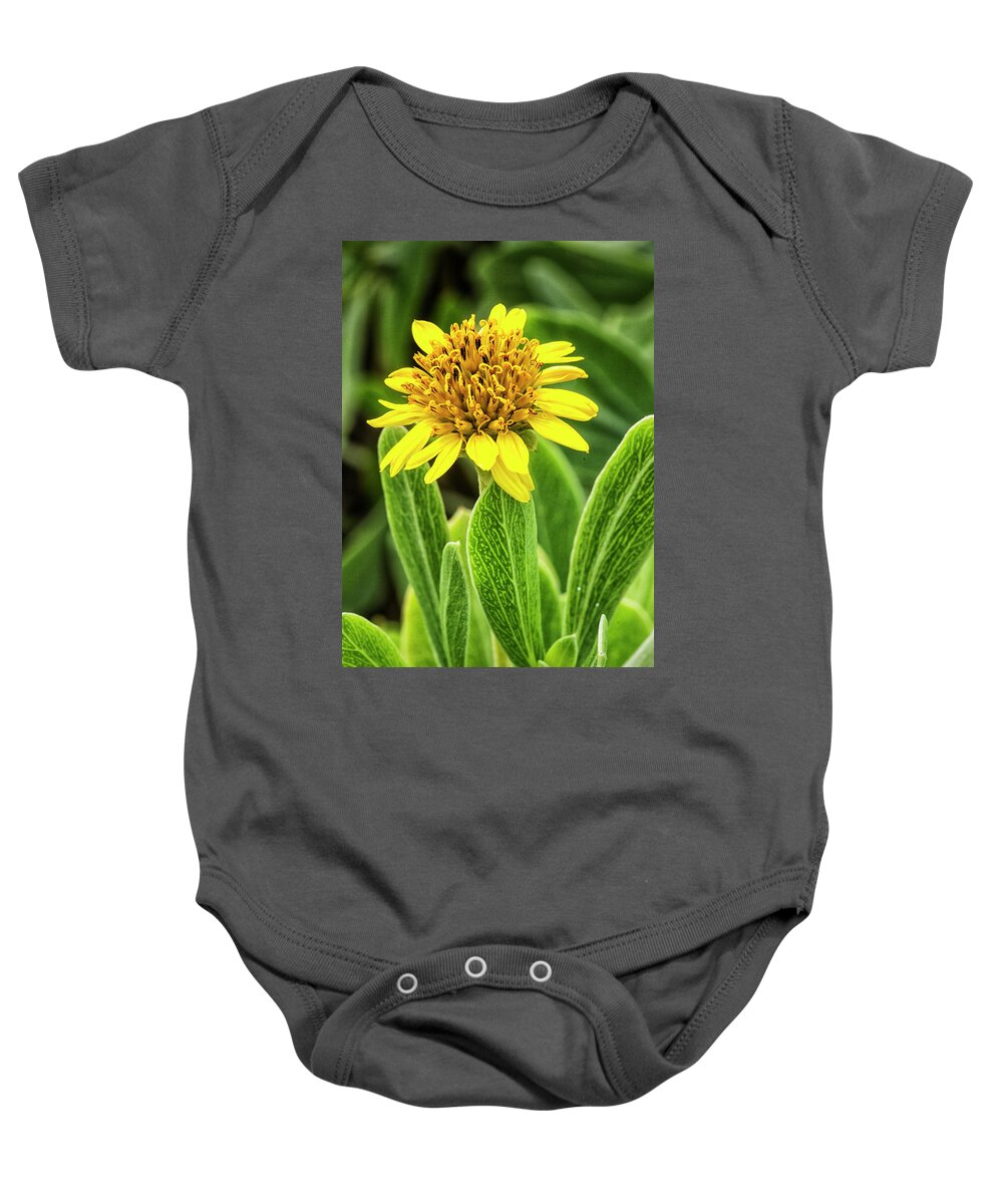 Yellow Baby Onesie featuring the photograph Yellow Wildflower in the Croatan National Forest by Bob Decker