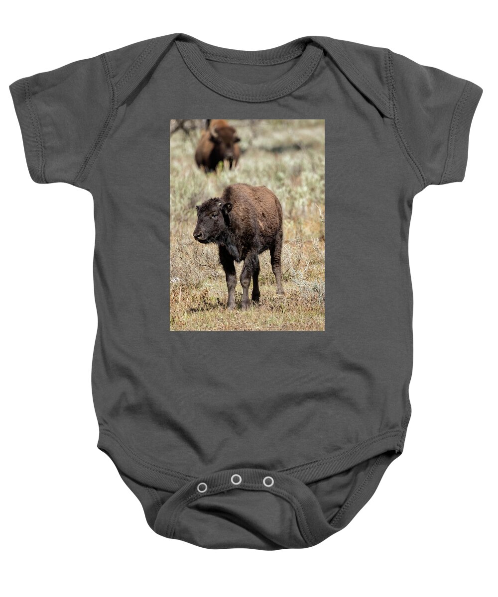 Bison Baby Onesie featuring the photograph Young Bison at Yellowstone by Belinda Greb