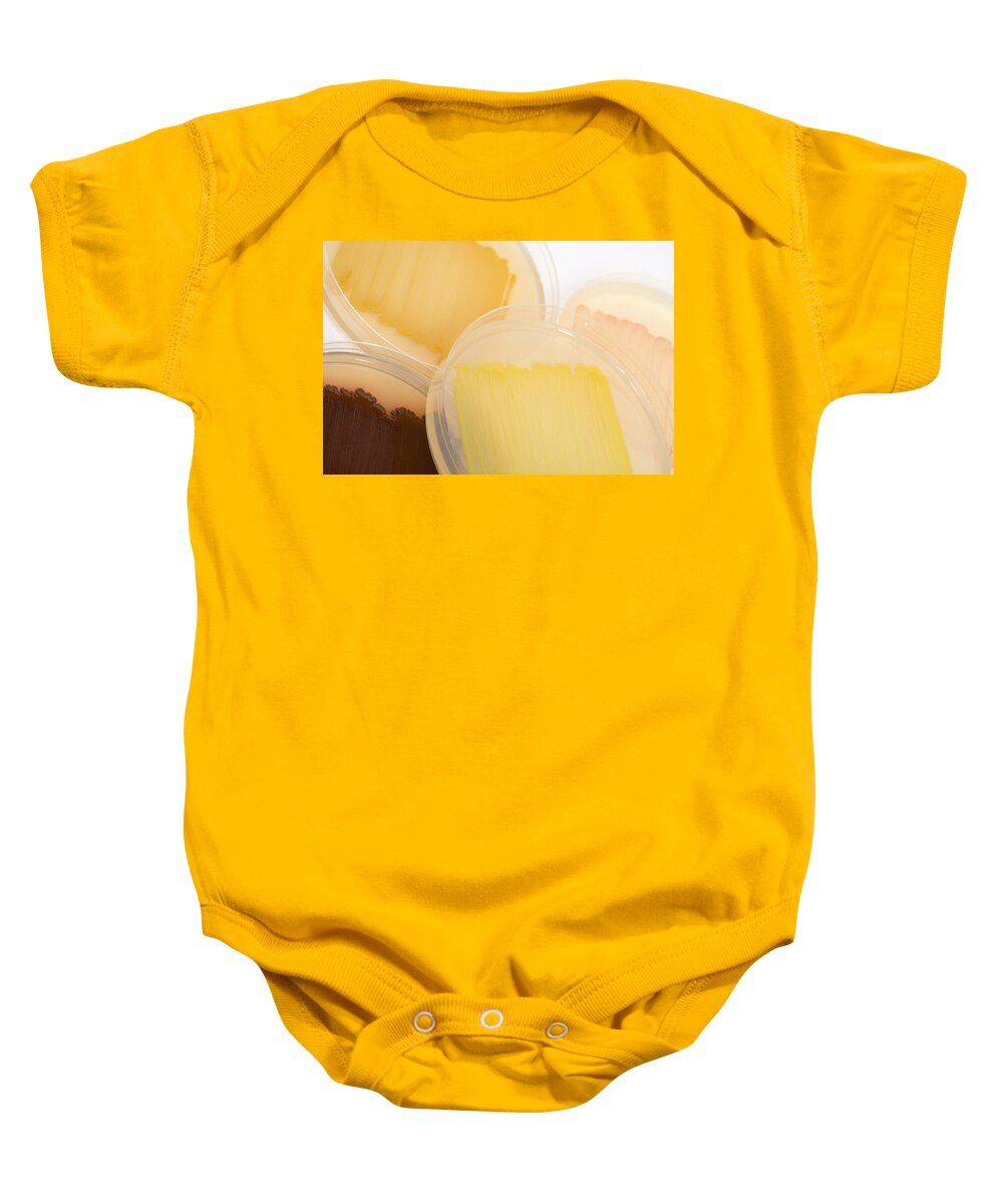 Cultures Baby Onesie featuring the photograph Bacterial Culture Plates #1 by Science Stock Photography