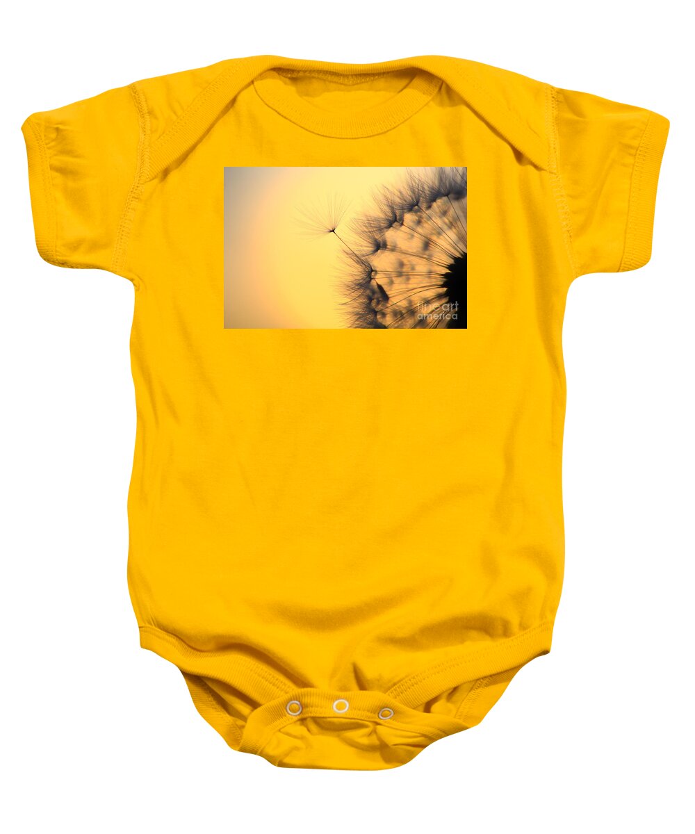 Common Dandelion Baby Onesie featuring the photograph Dandelion Seeds #1 by Patrick Frischknecht