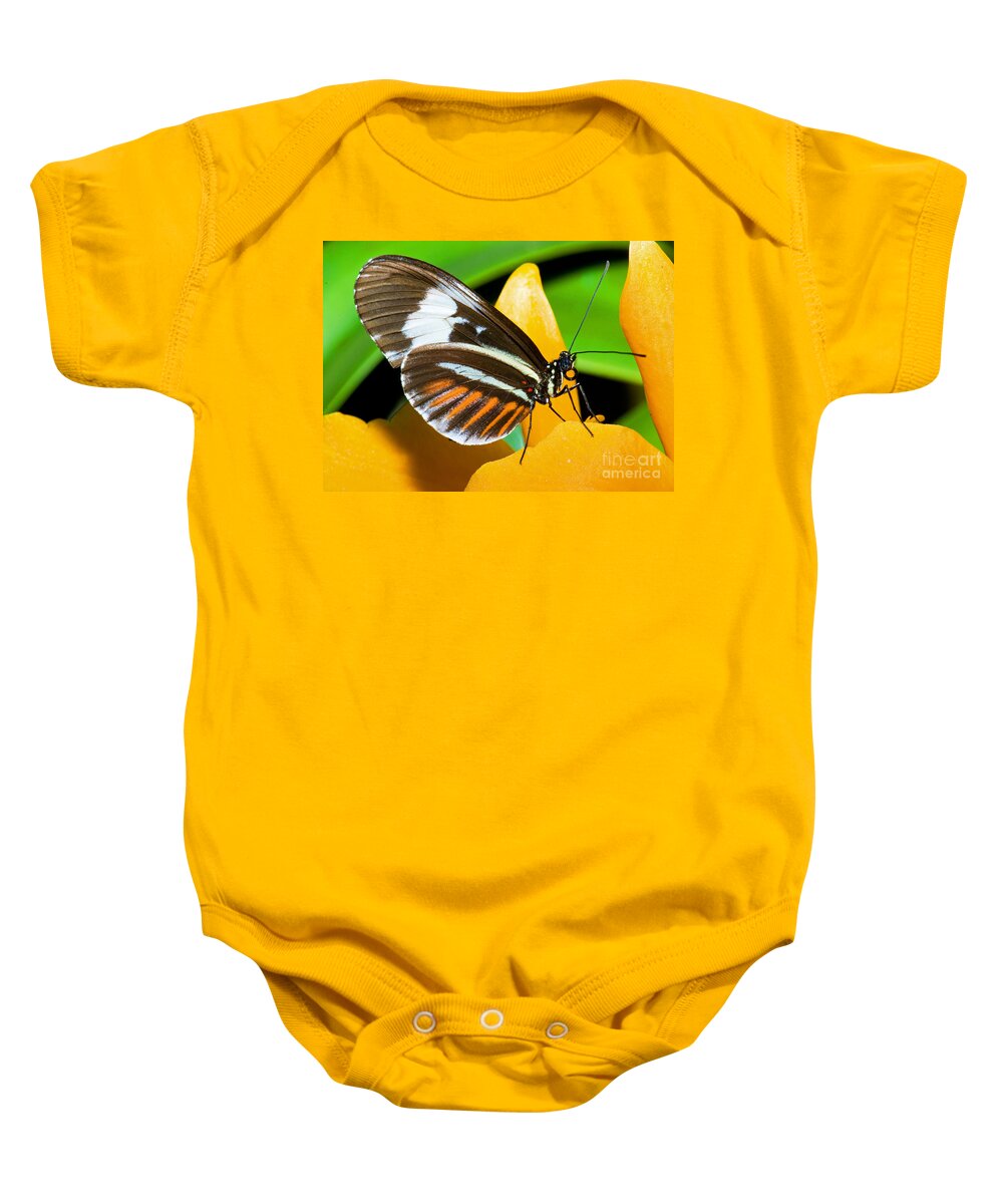 Nature Baby Onesie featuring the photograph Hecale Butterfly #1 by Millard H. Sharp