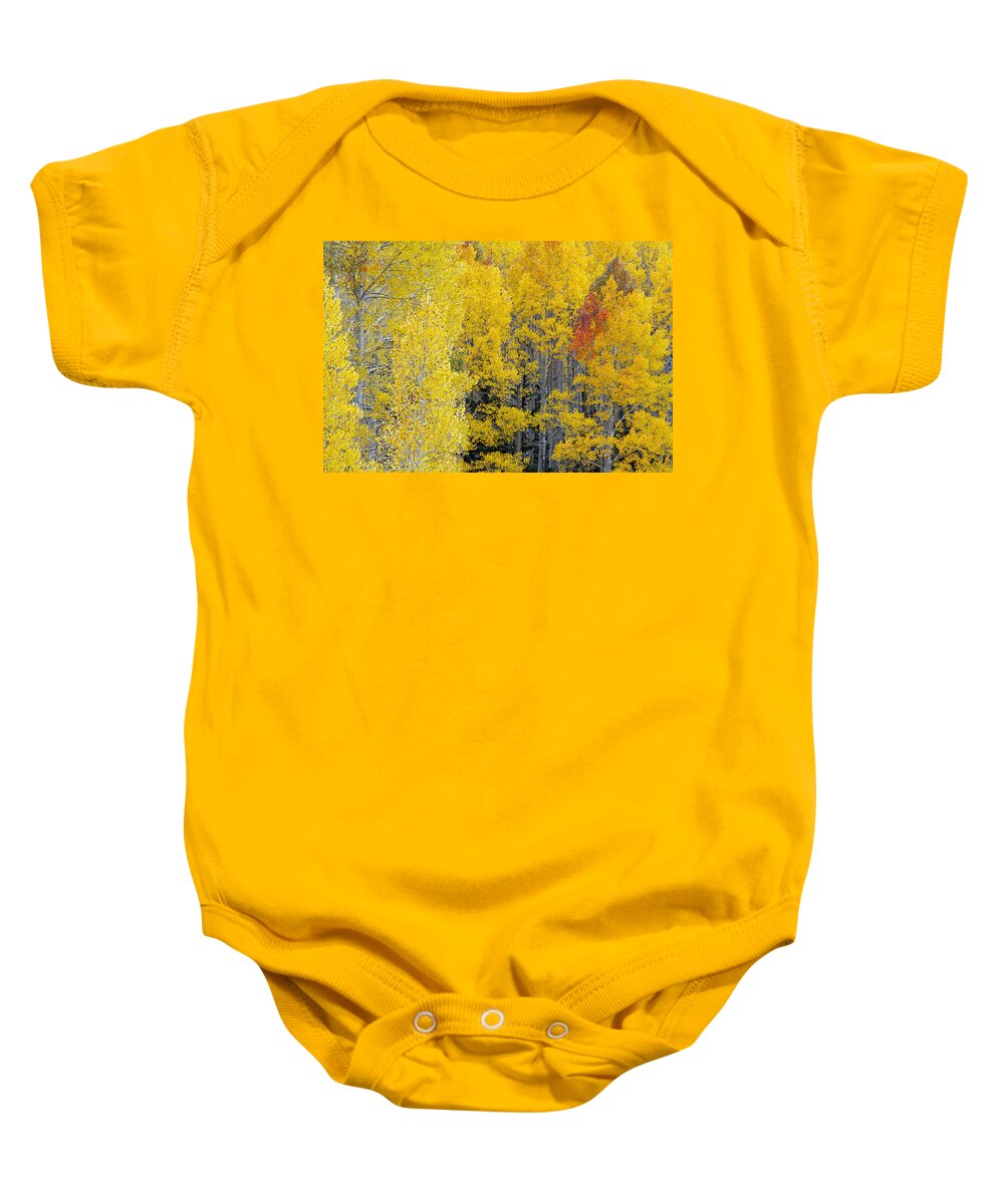 Aspens Baby Onesie featuring the photograph Flagstaff Fall Color #3 by Tam Ryan