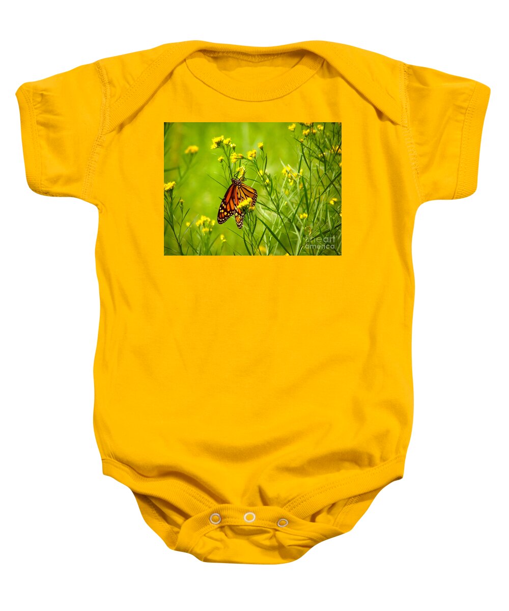 Orange Monarch Butterfly Baby Onesie featuring the photograph Brightly Colored Monarch Butterfly In A Meadow Of Yellow Flowers by Jerry Cowart