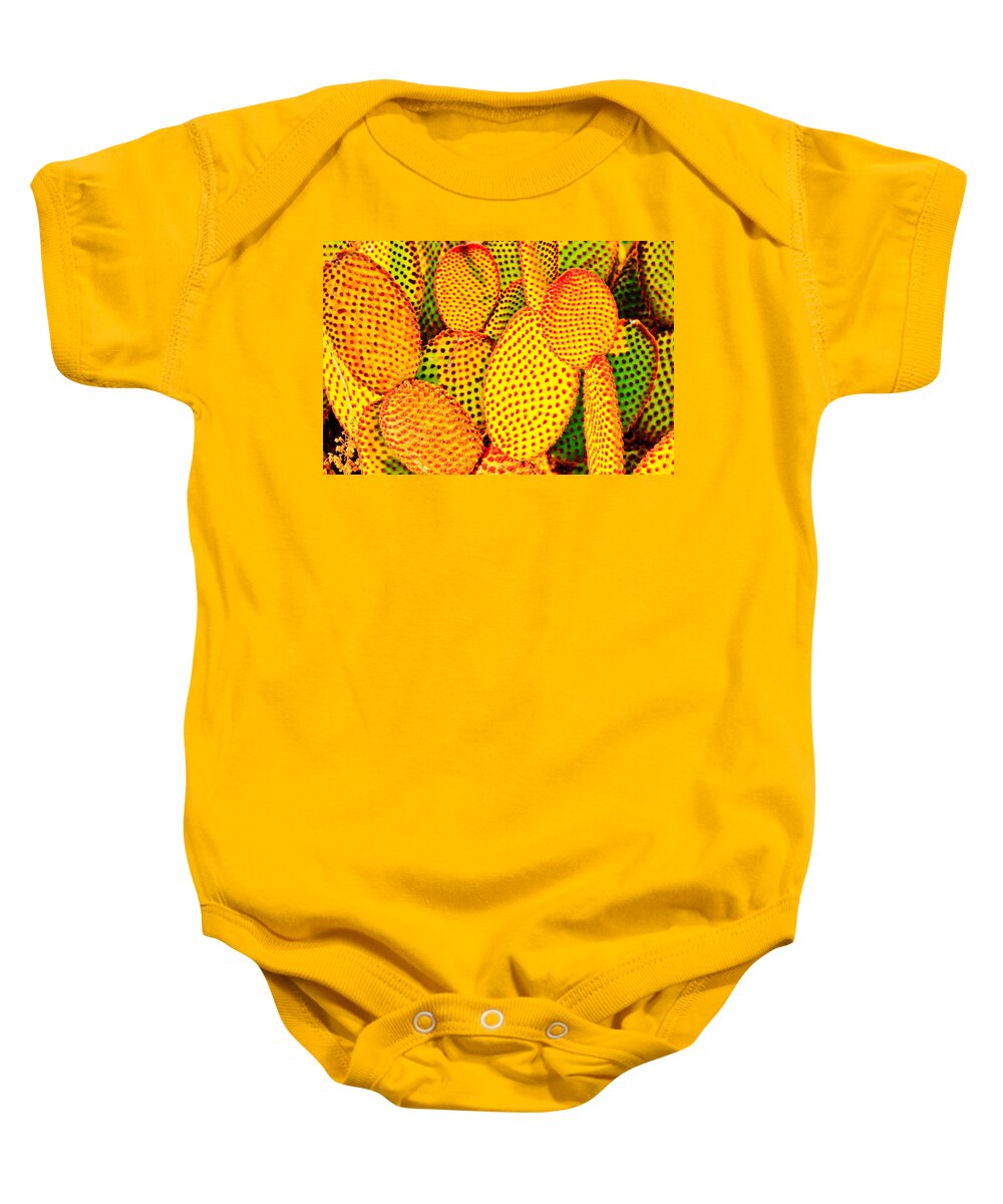 Cactus Baby Onesie featuring the photograph Cactus with Sunset Glow by Ben Graham