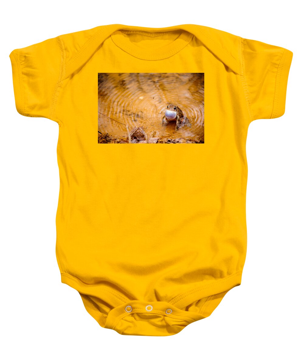 Male Bullfrog Baby Onesie featuring the photograph Calling All Frogs by Courtney Webster