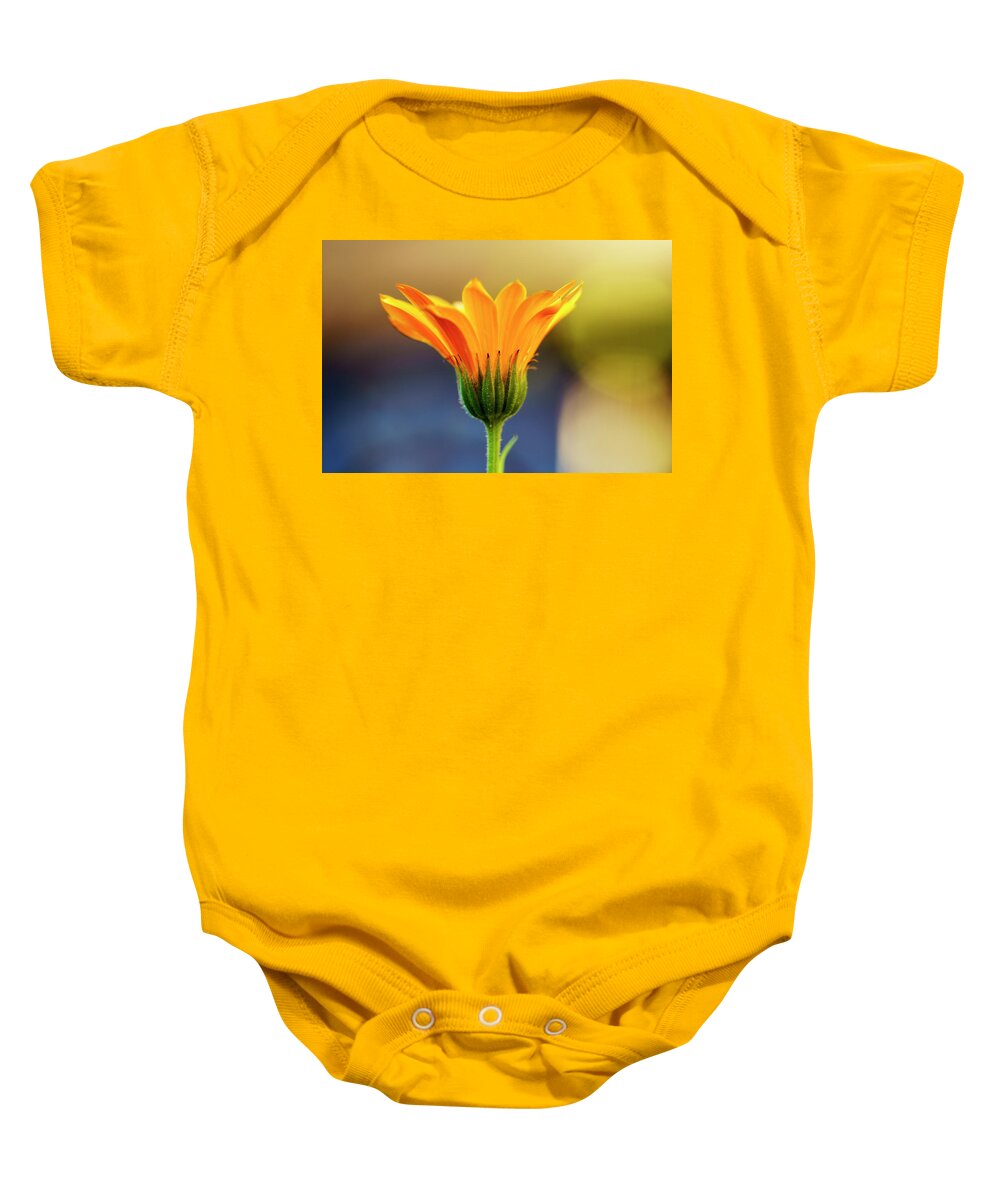 Detail Baby Onesie featuring the photograph Close Up Of Yellow Flower Blossoming by John Short