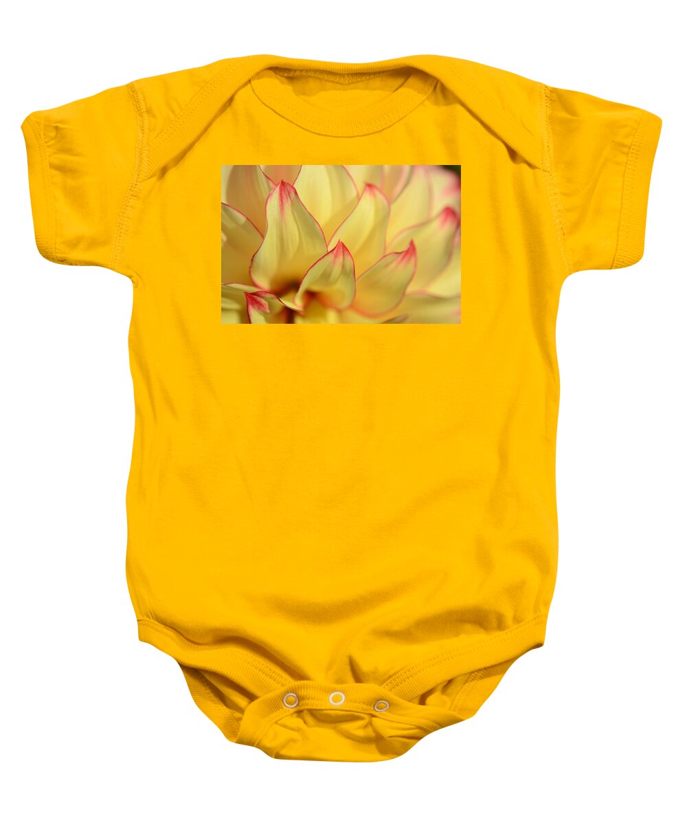 Dahlia Baby Onesie featuring the photograph Dahlia Tips by Kathy Paynter