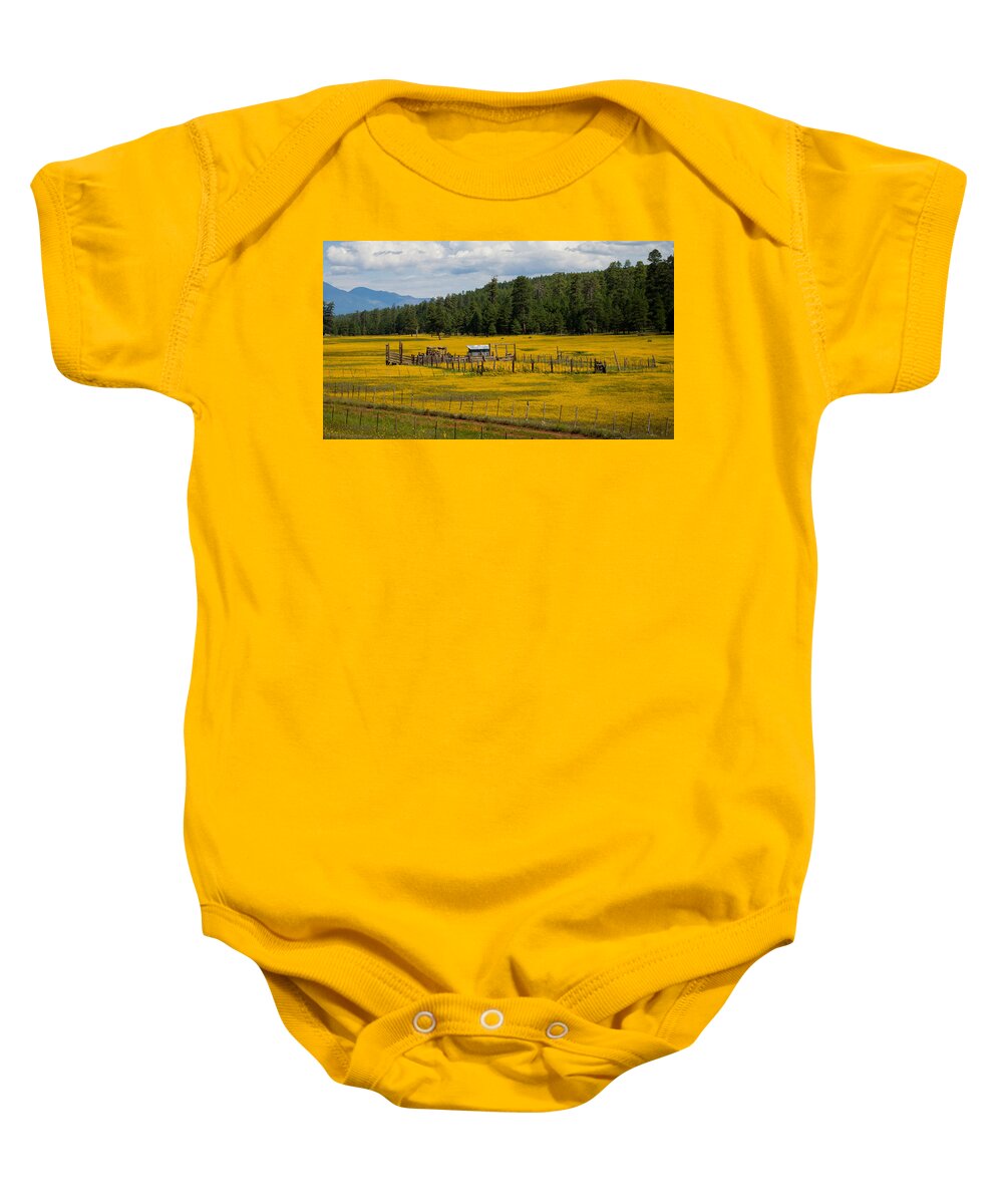 Field Baby Onesie featuring the photograph Field of Flowers by Will Wagner